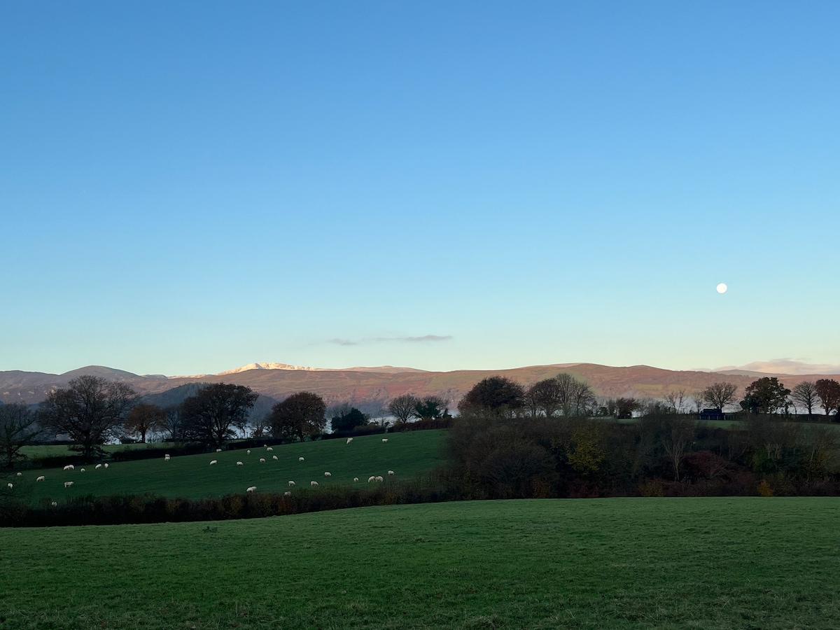 Cwt Bach - Garth Y Foel