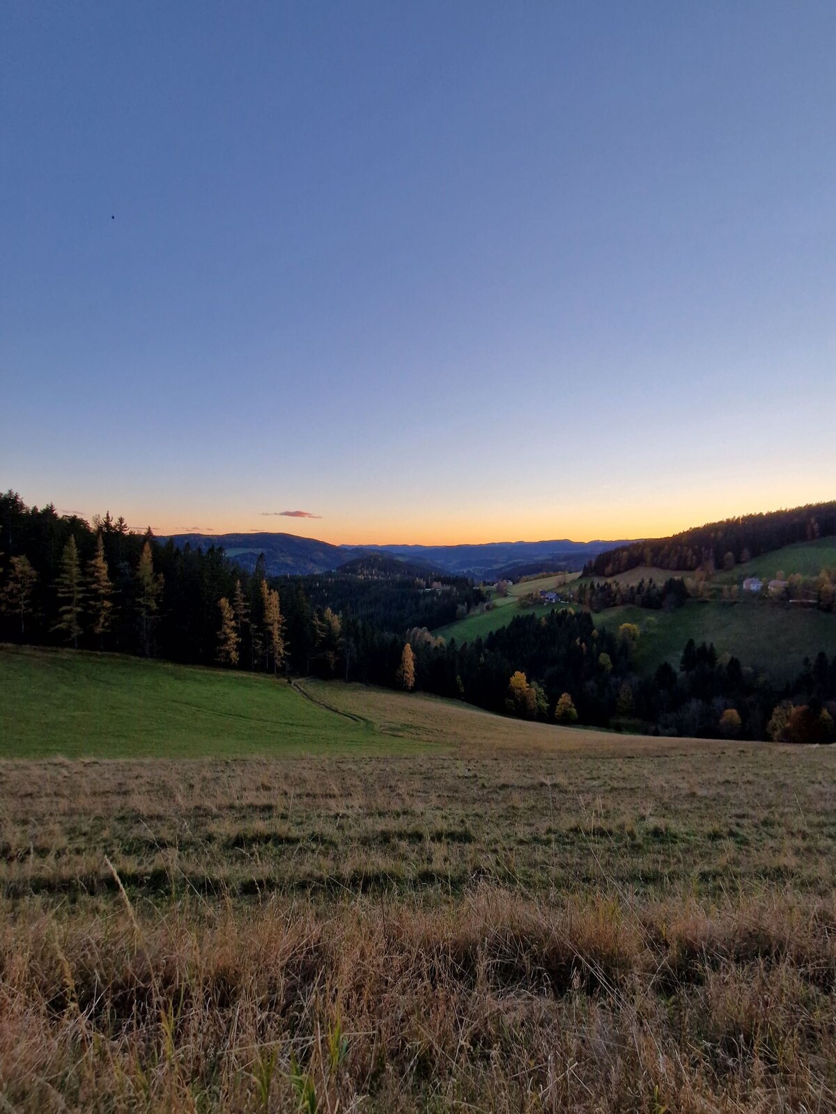 Waldglück Ind. - Glück in Kubik