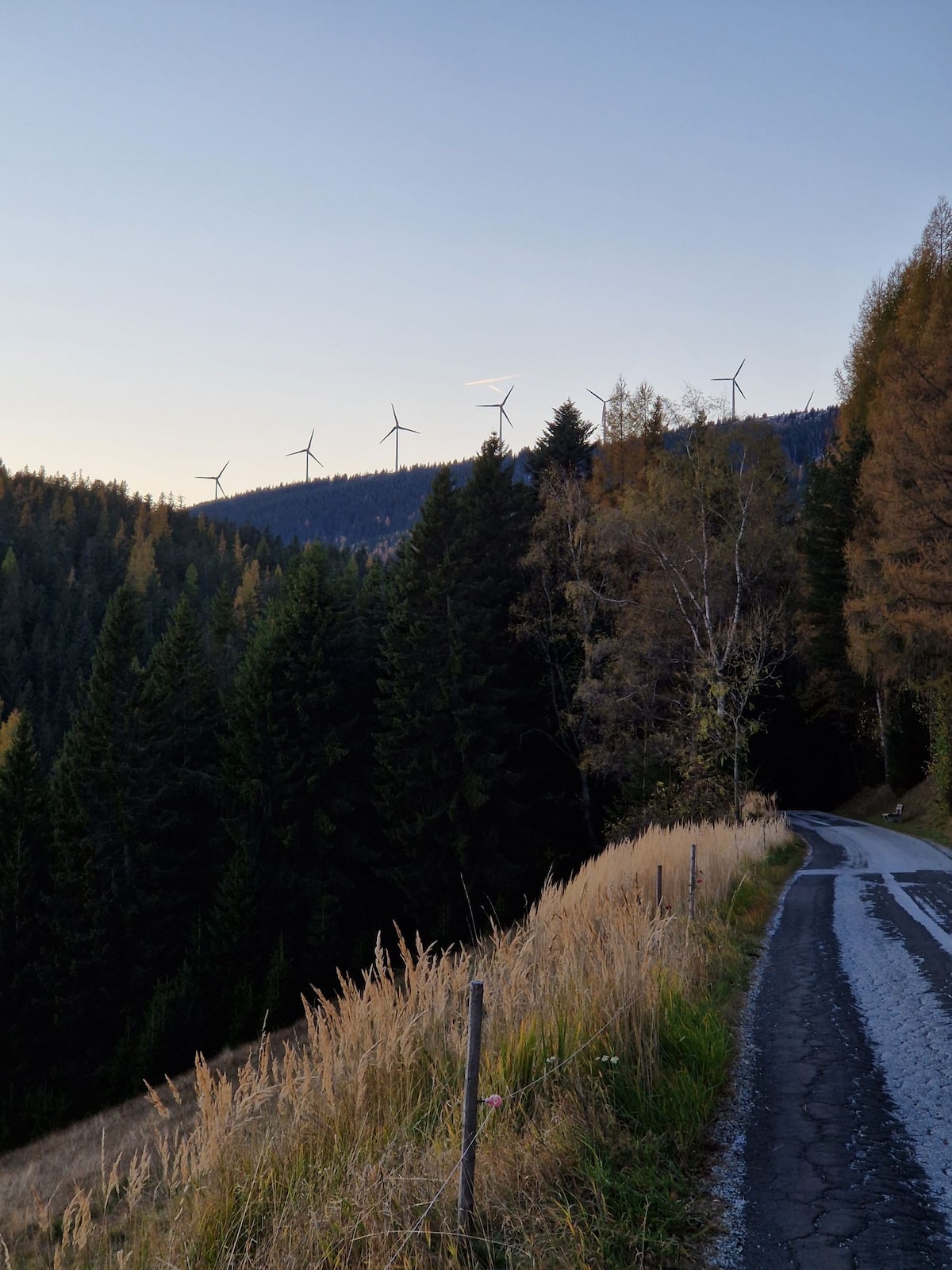 Waldglück Ind. - Glück in Kubik