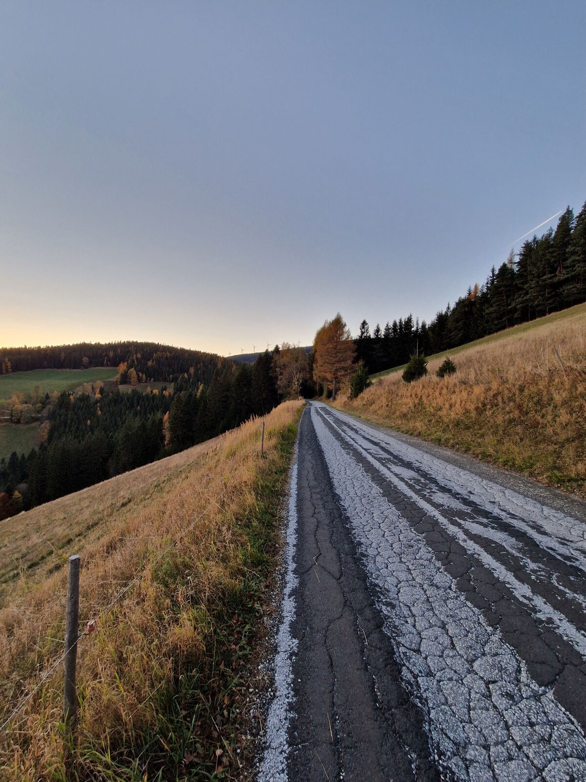 Waldglück Ind. - Glück in Kubik