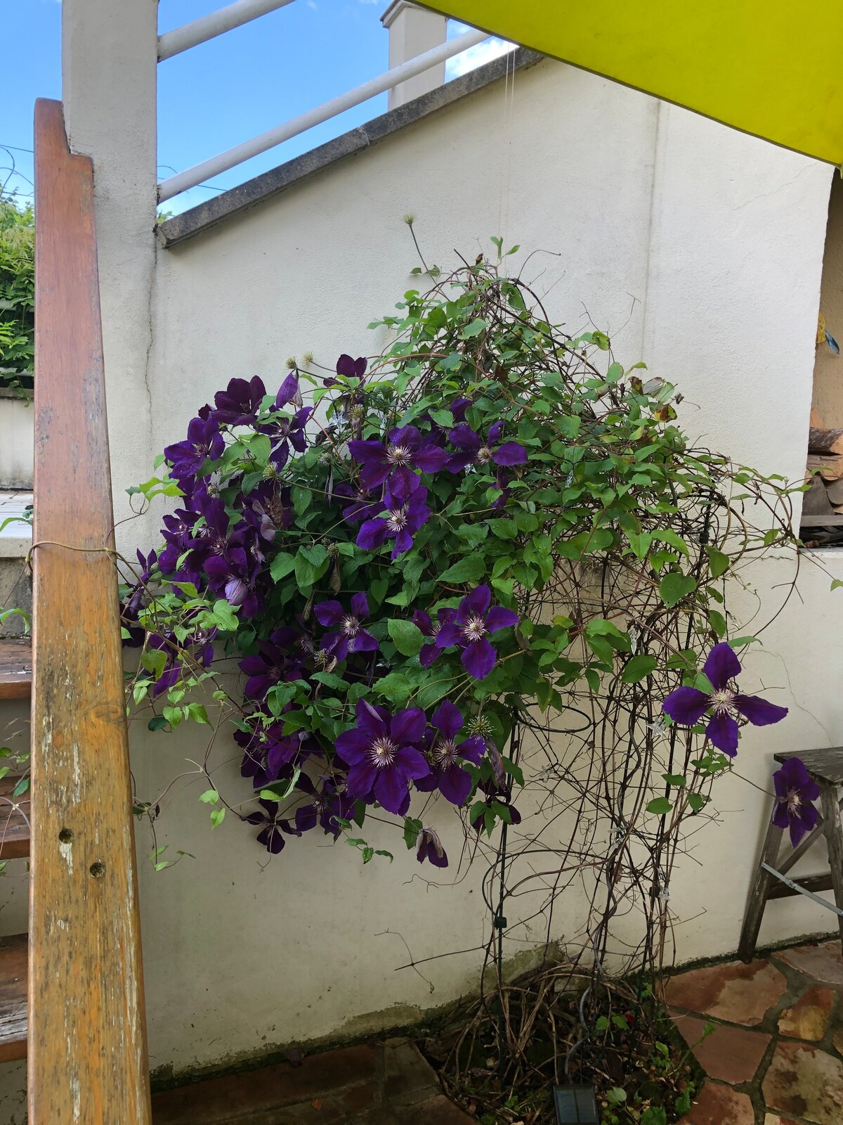 Famille home with garden, 10 min from Geneva.