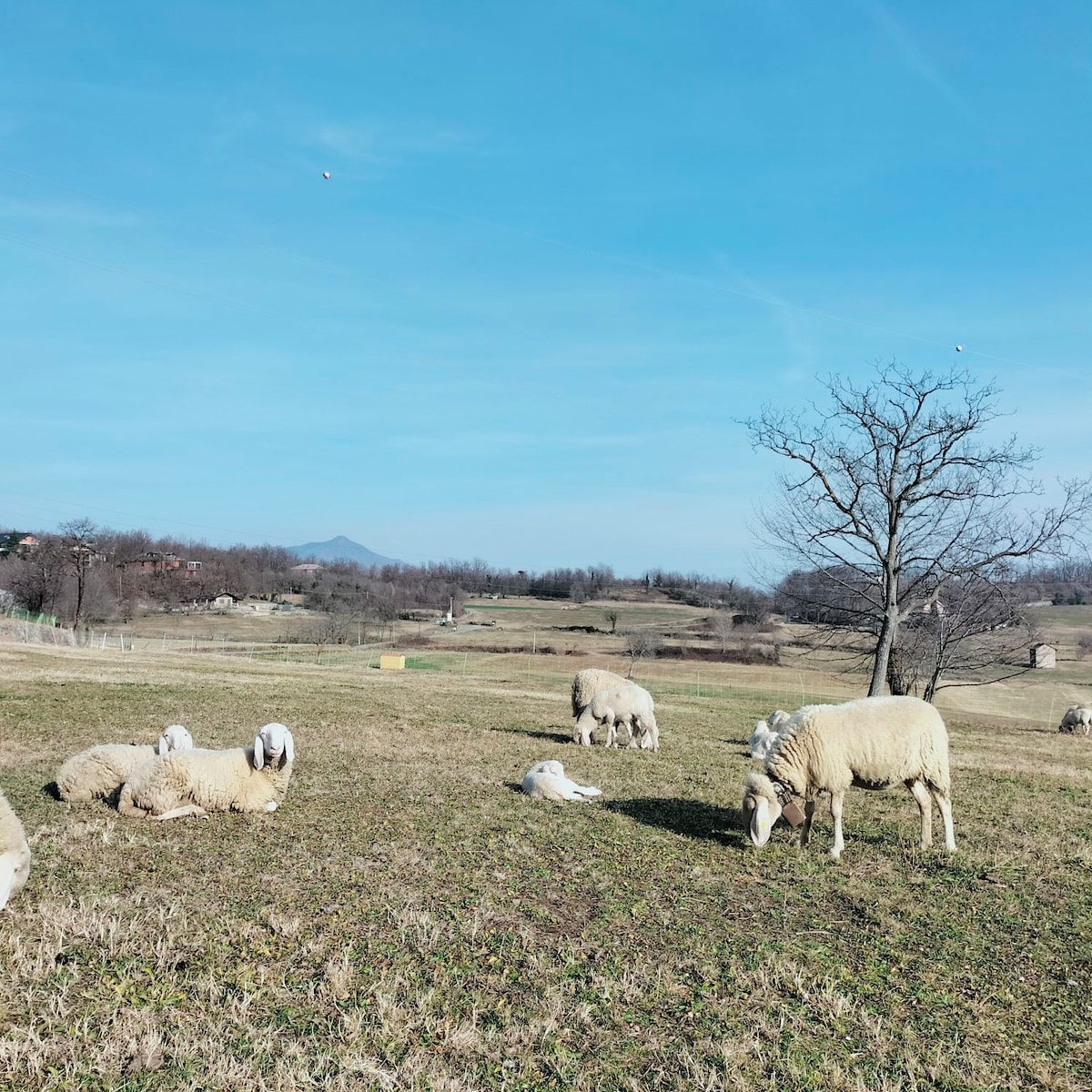 appartamento panoramico