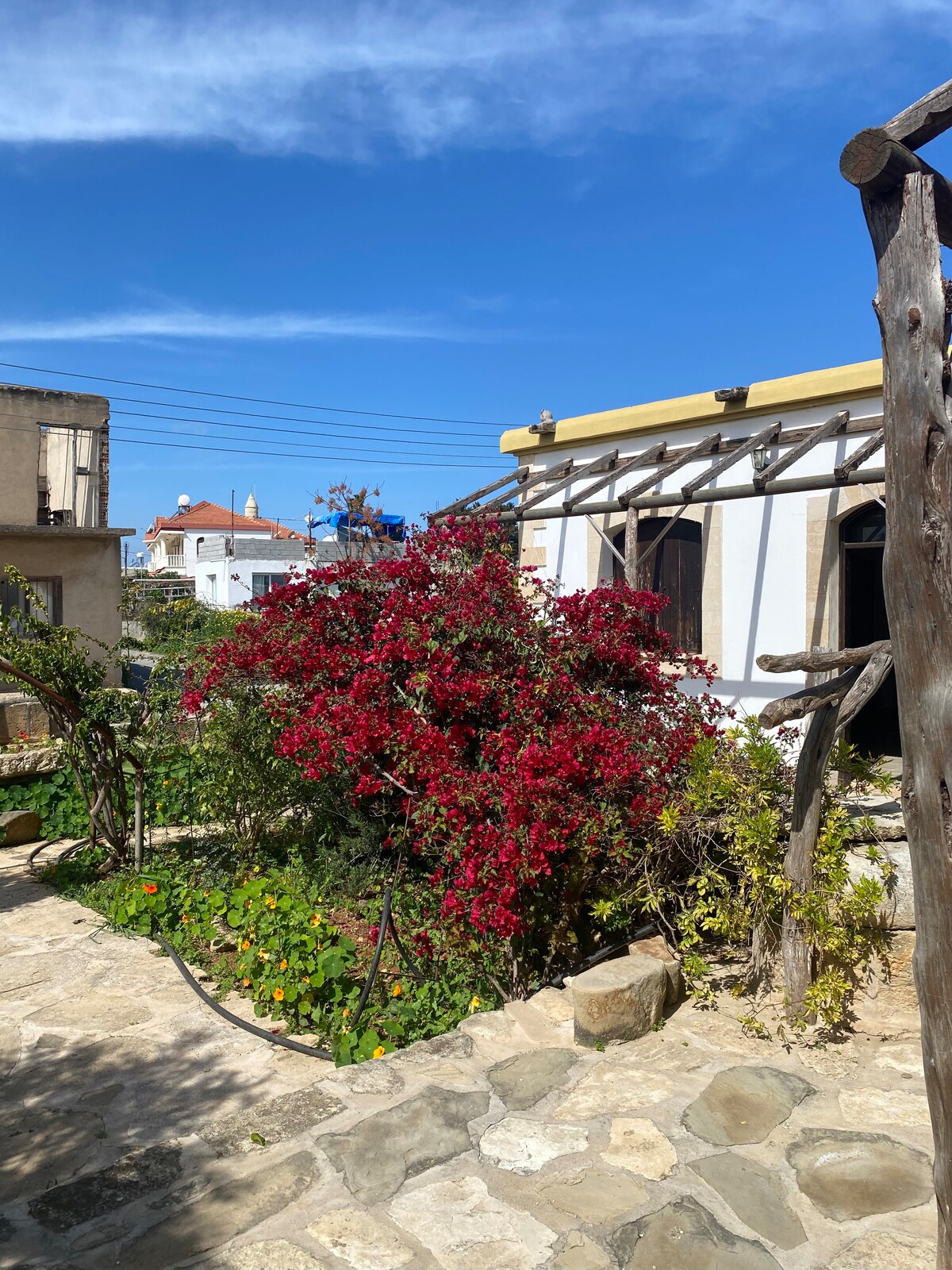 Authentic Cyprus Village House