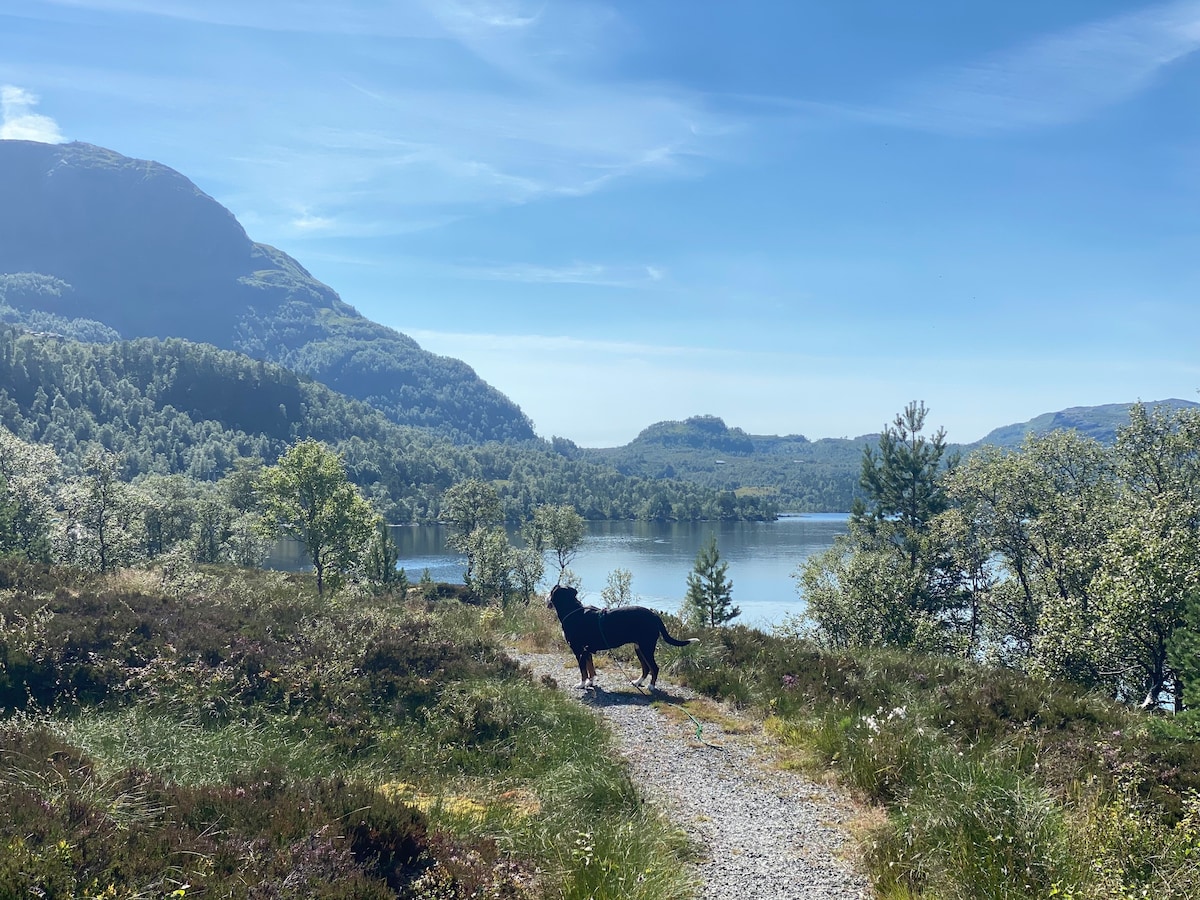 Nydelig fjellhytte ved innsjø