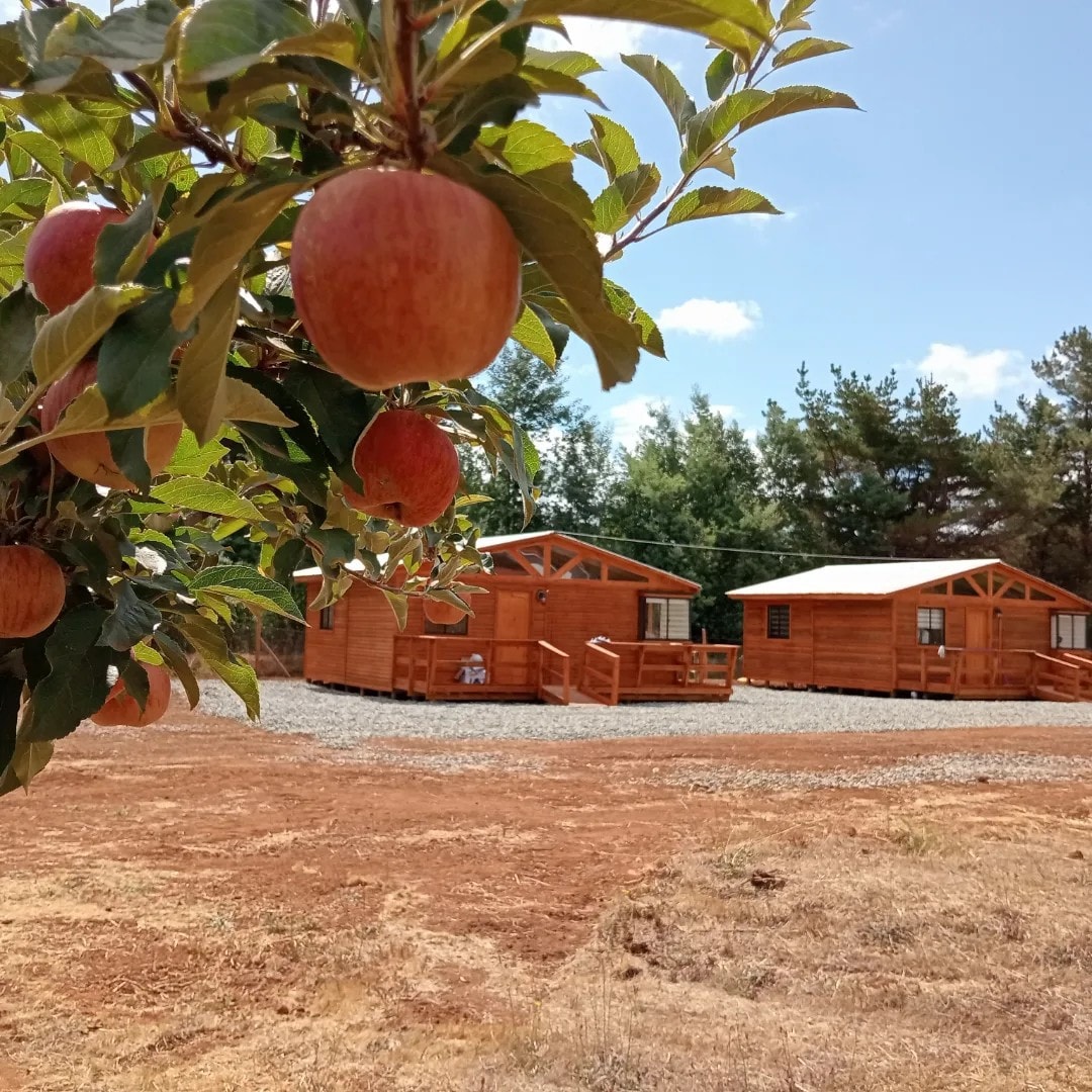 Cabañas Quina Nativa