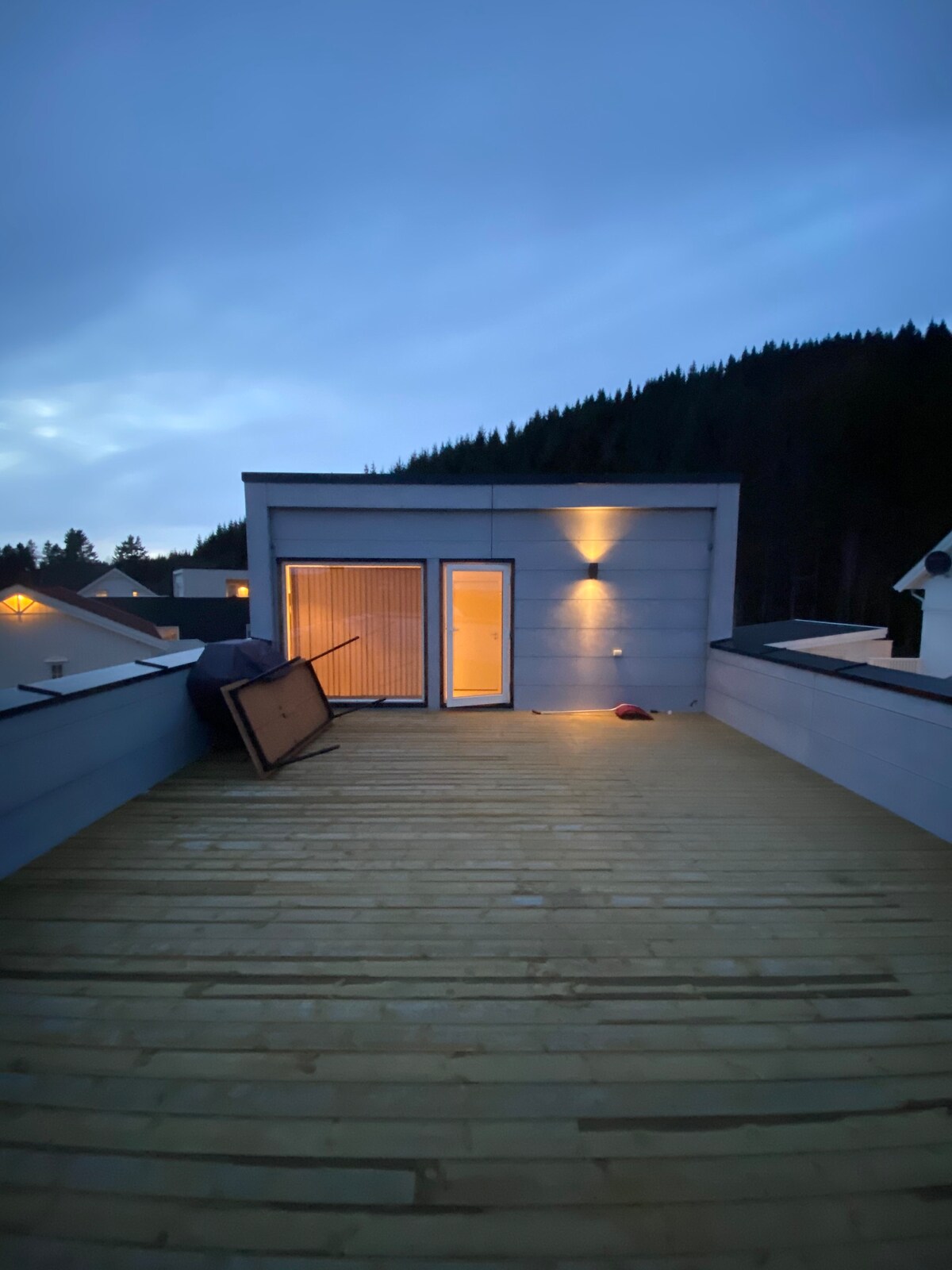 Modern villa with terrace roof