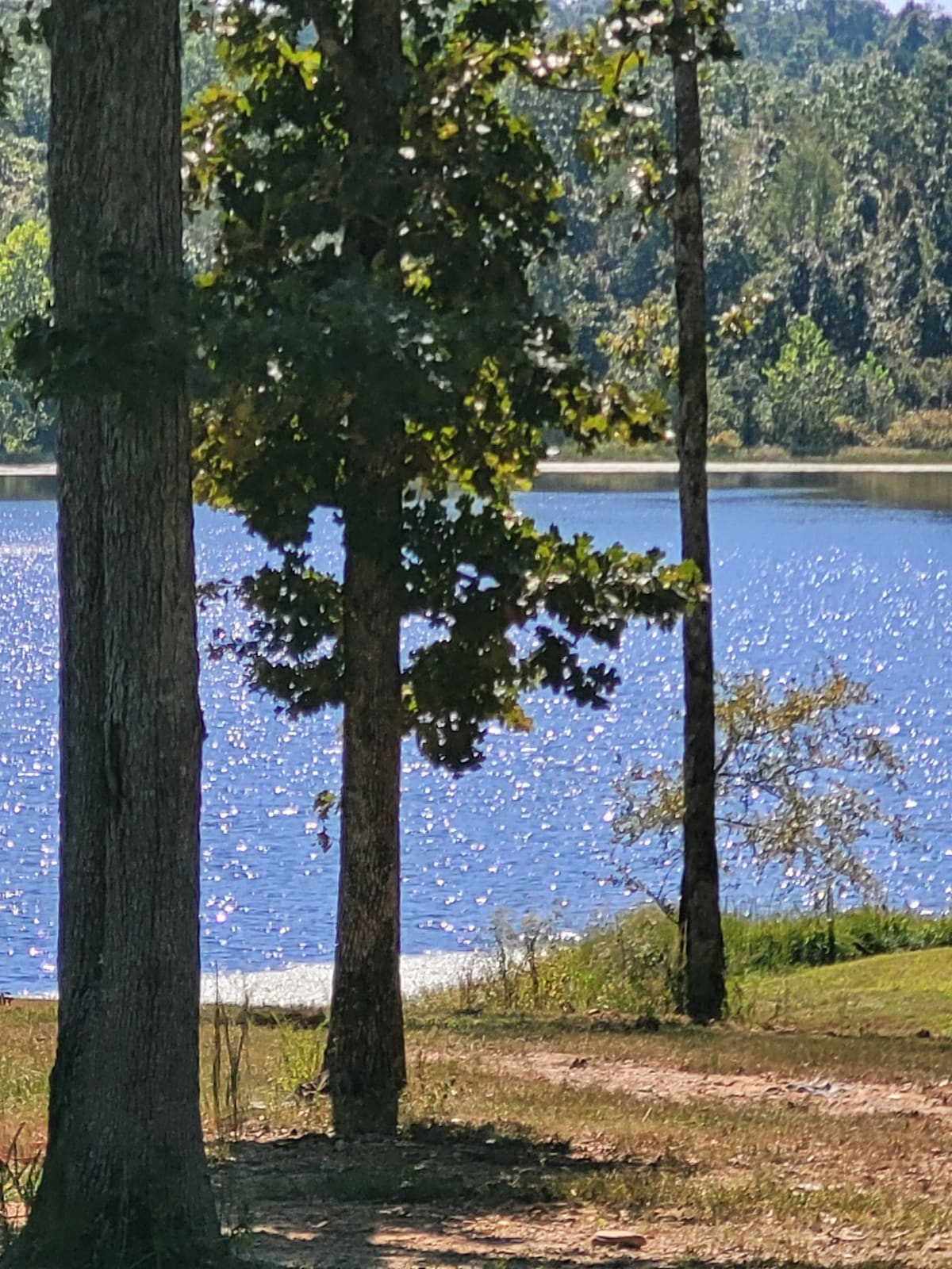 Buckeye Hollow Lodge