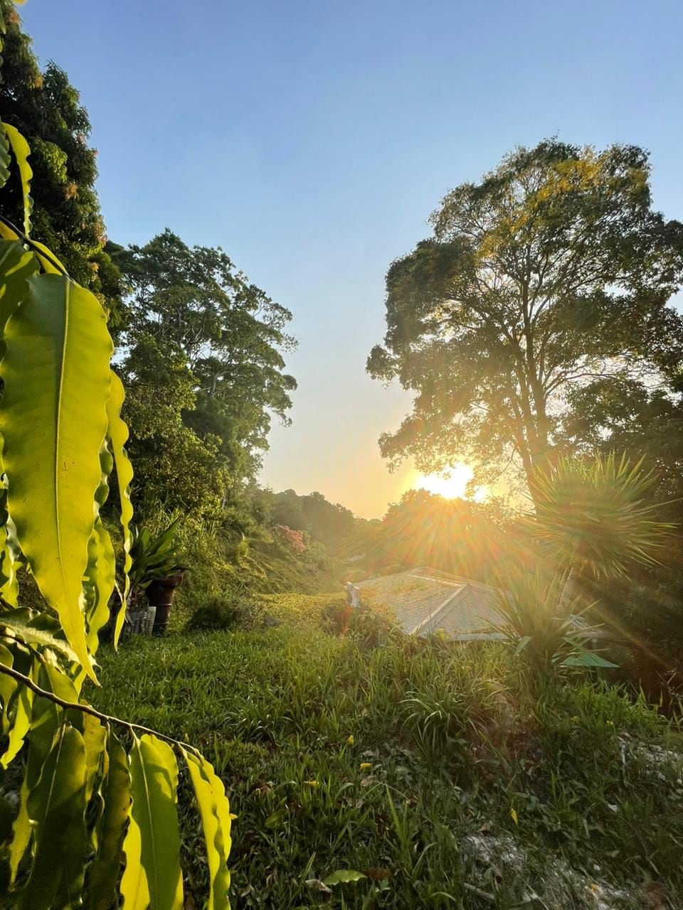 Flor de Lis, Cabaña 3,La Ceiba