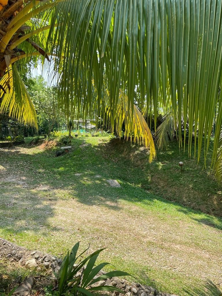 Flor de Lis, Cabaña 3,La Ceiba