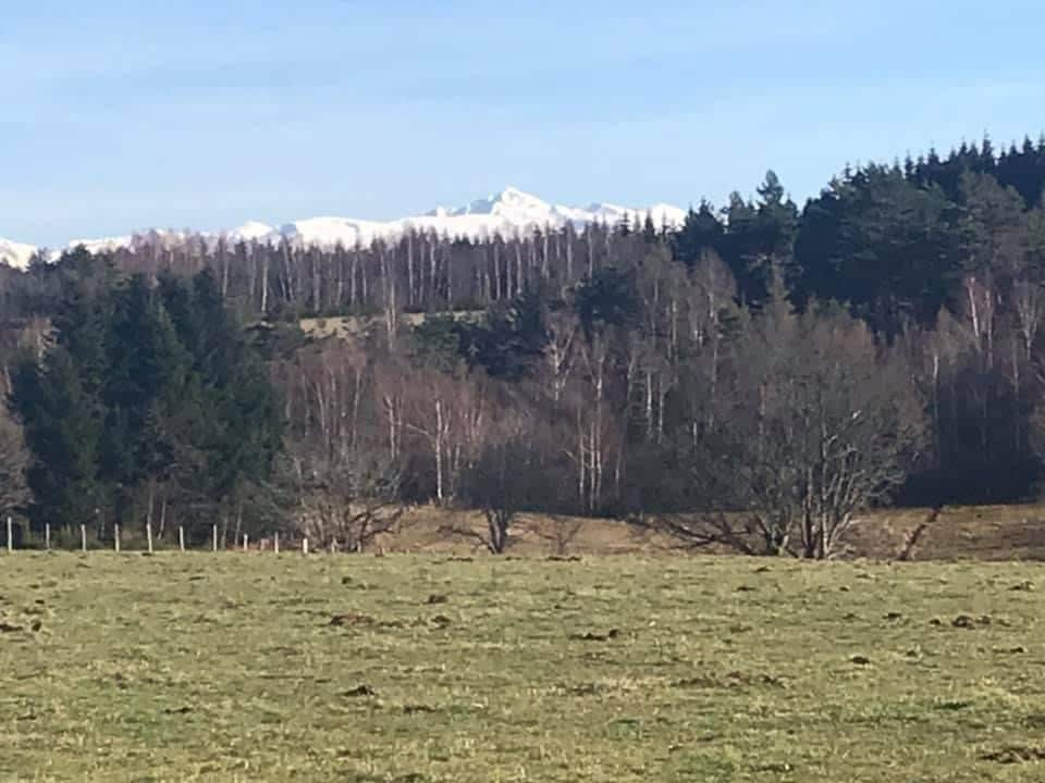 Gîte à la campagne « Le Pissenlit »