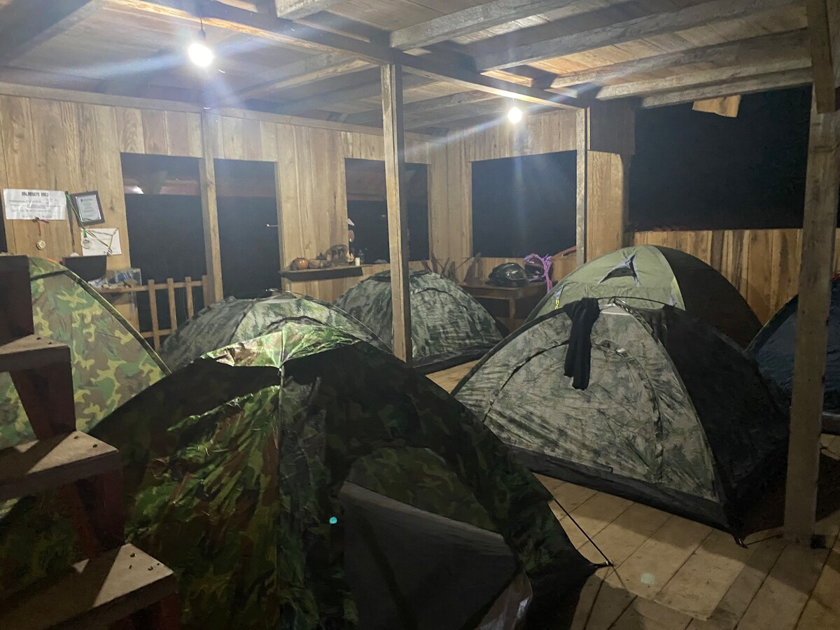 Camping tigrillo