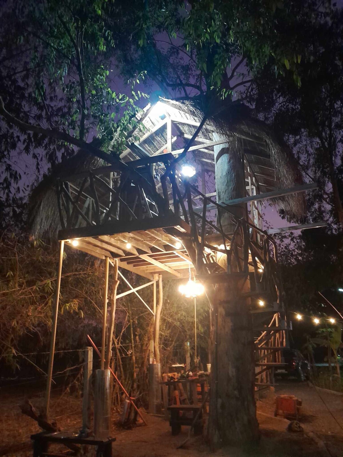 Traveler's Treehouse - near Mapanuepe Lake