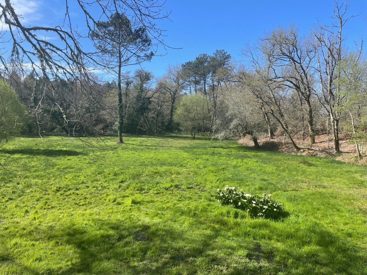 Maison au cœur de la forêt