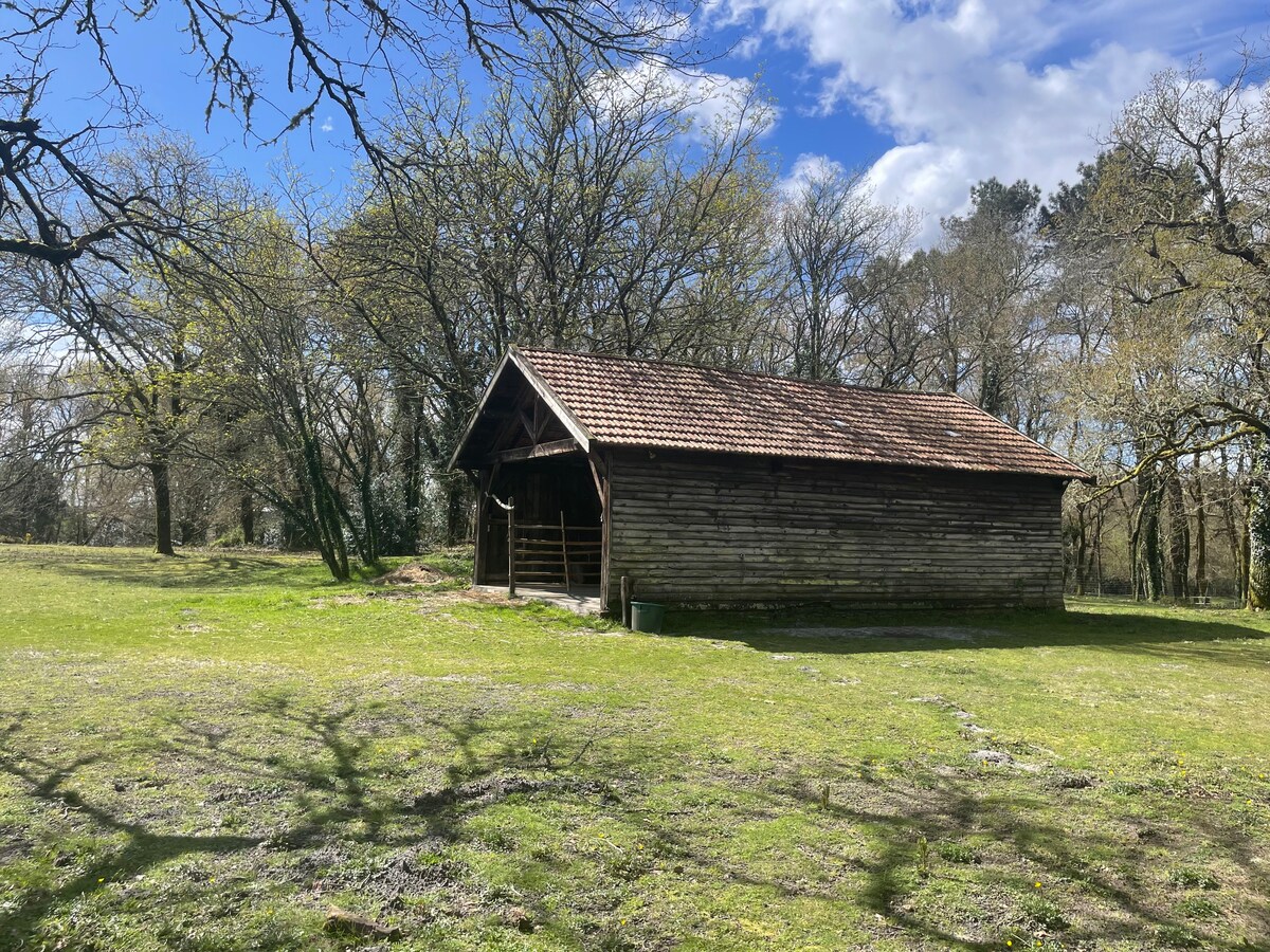 Maison au cœur de la forêt