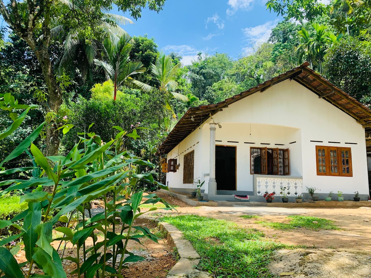Sinharaja - Peaceful Home Stay