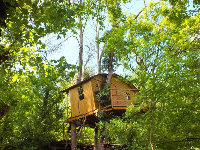 Cabane dans les arbres