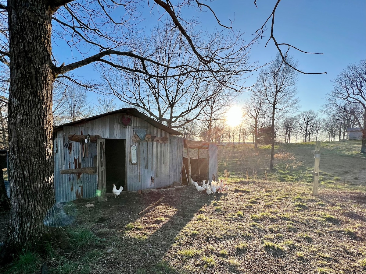 Dog Friendly Farm at Sunnyland