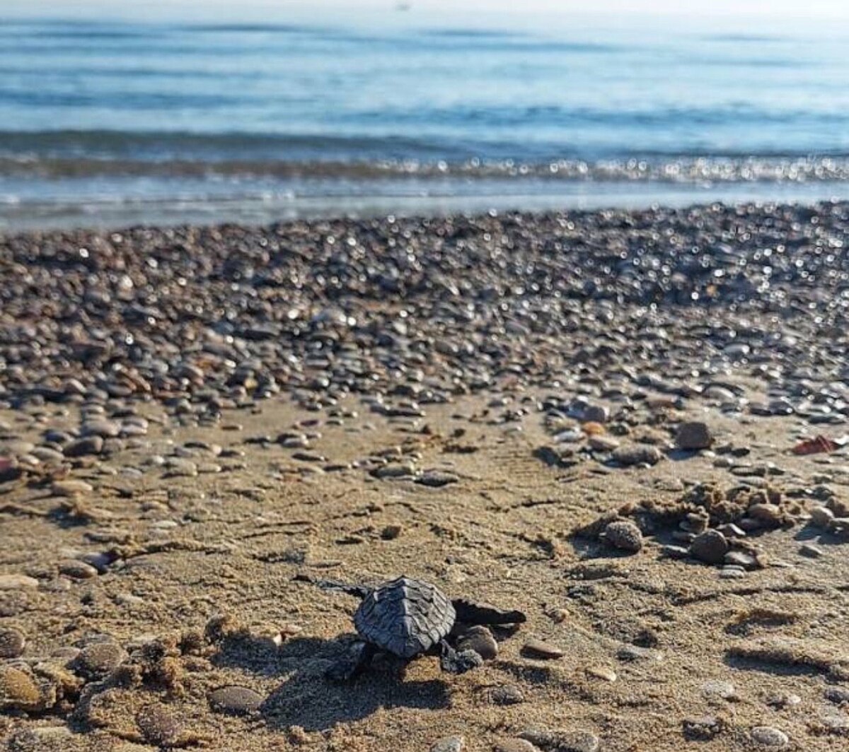 Casetta sulla spiaggia