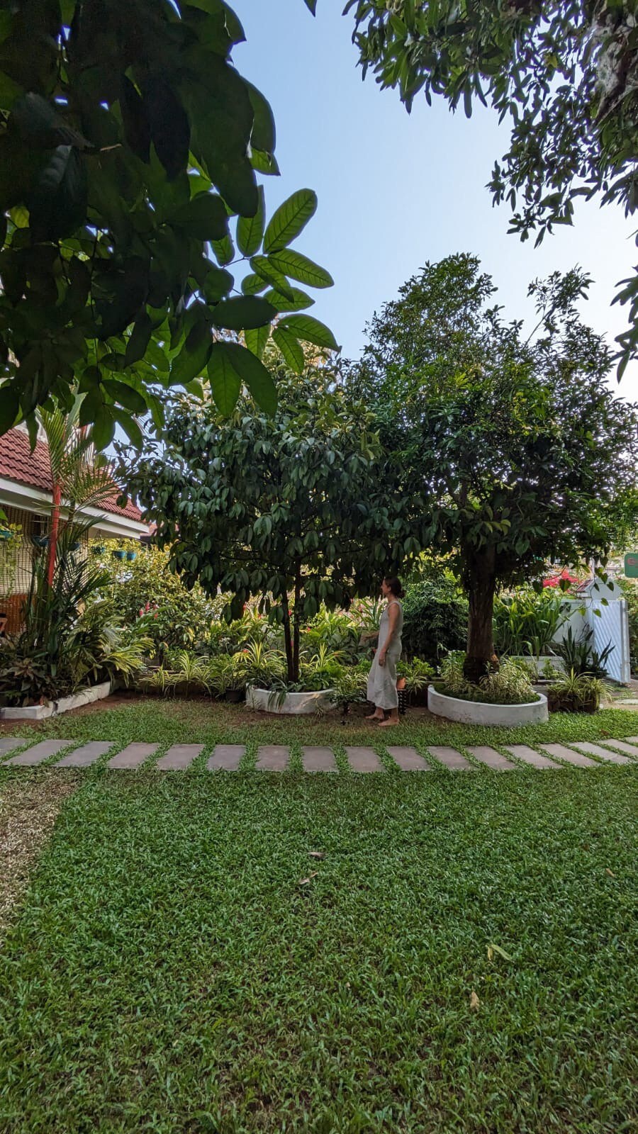 Garden Oasis in Kochi