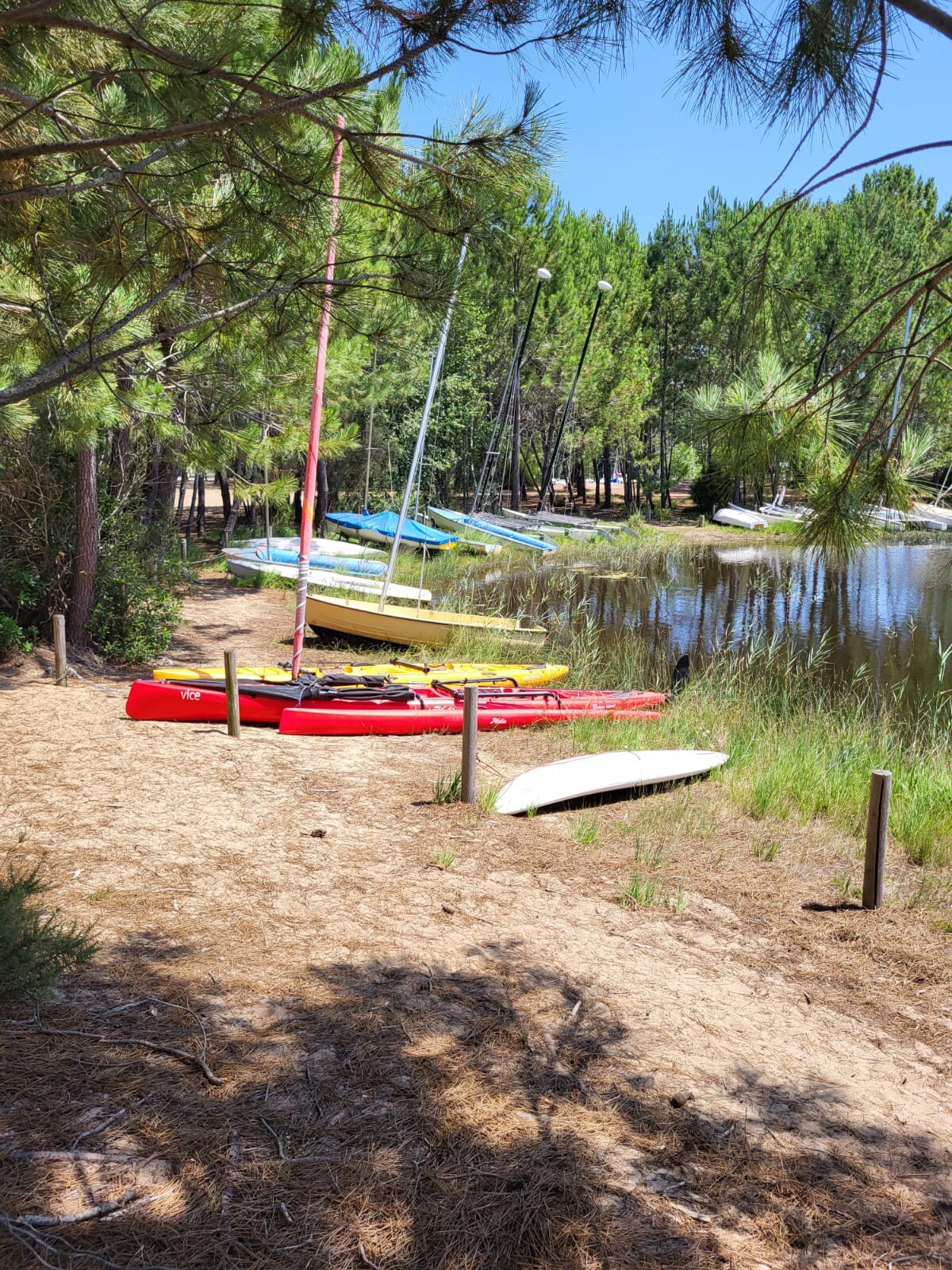 Maison en bois au calme de la pinéde  proche lac