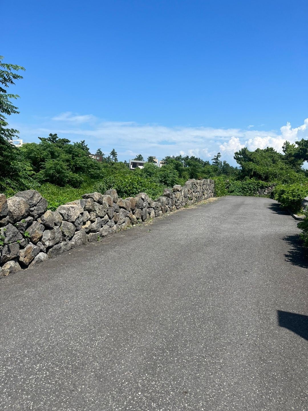 Hyeopjae Stone Wall Mountain Bird Sound Jeju Sal 10