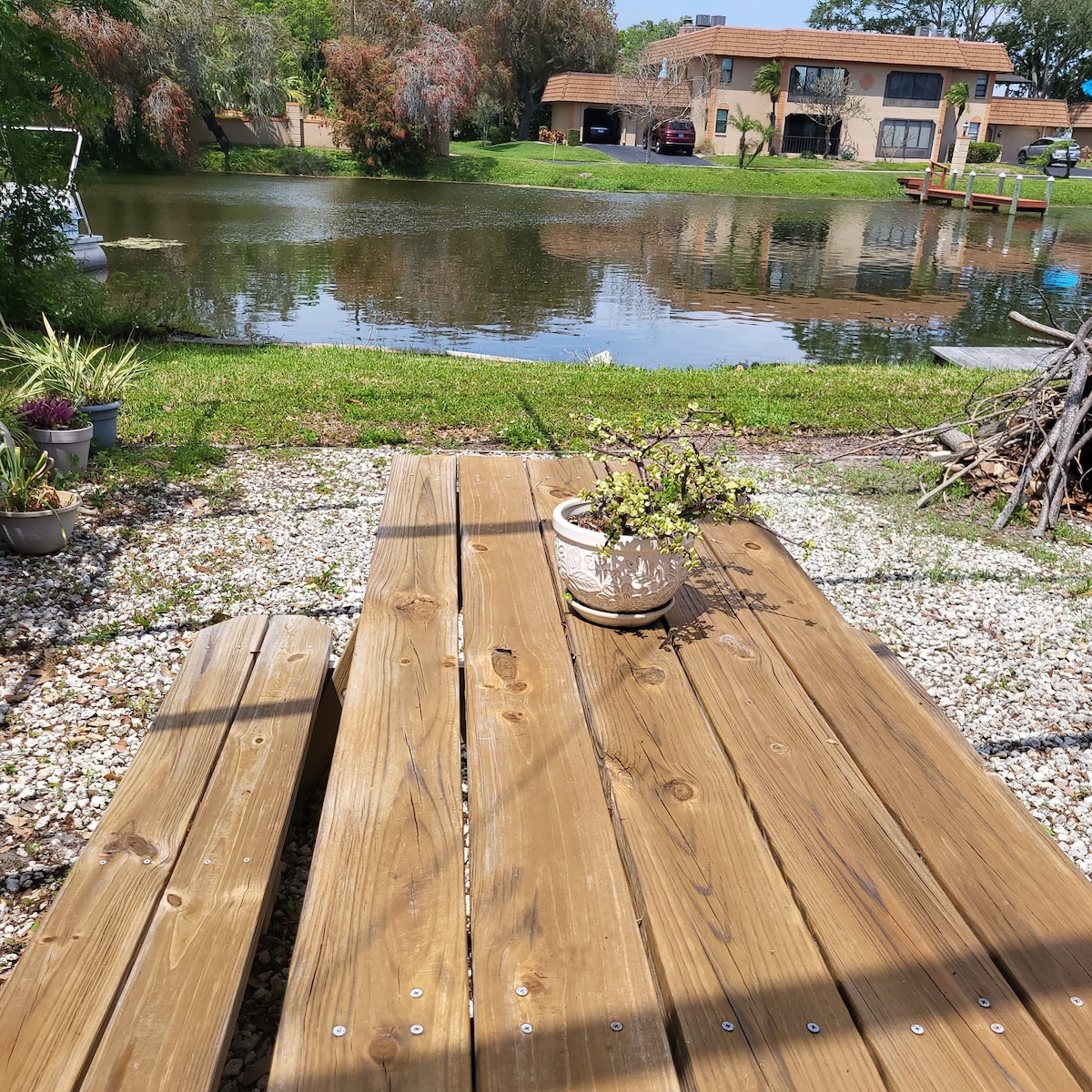 Serene Tropical  Lakeview