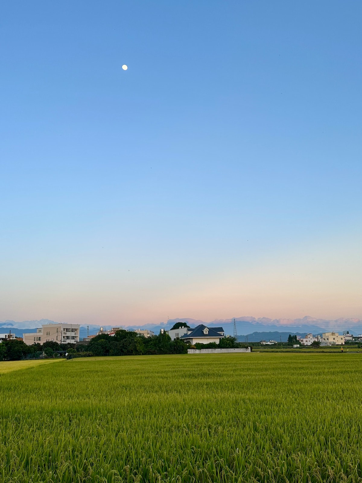 花間稻香～田中央～獨棟一樓花園房舍