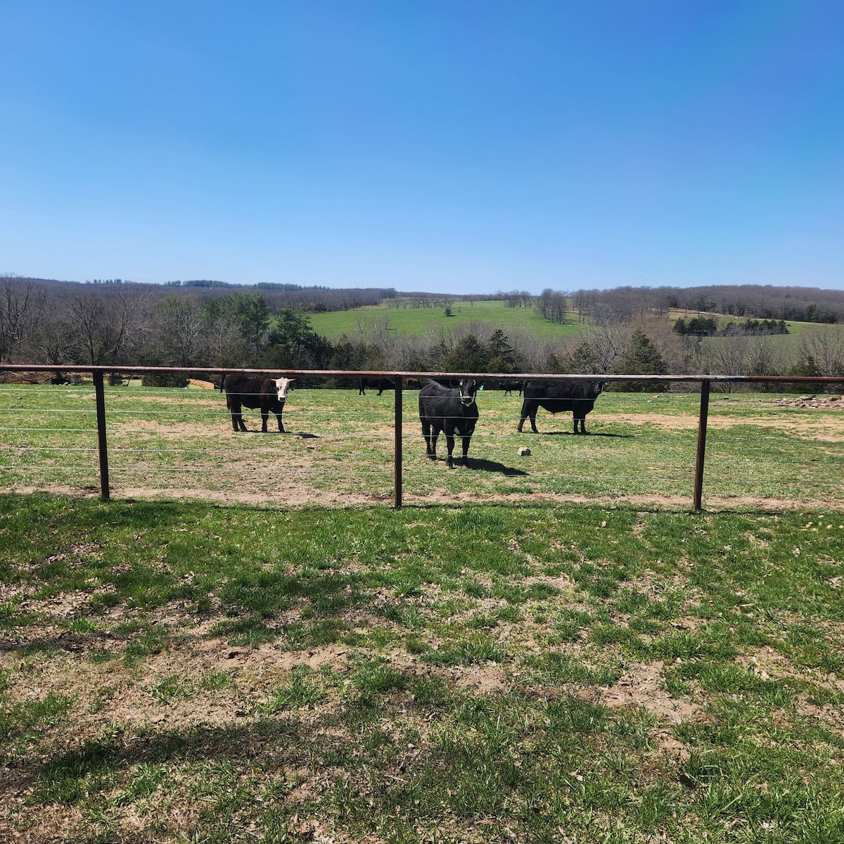 Farm Escape!

Delhi Cottages at Abolt Farms