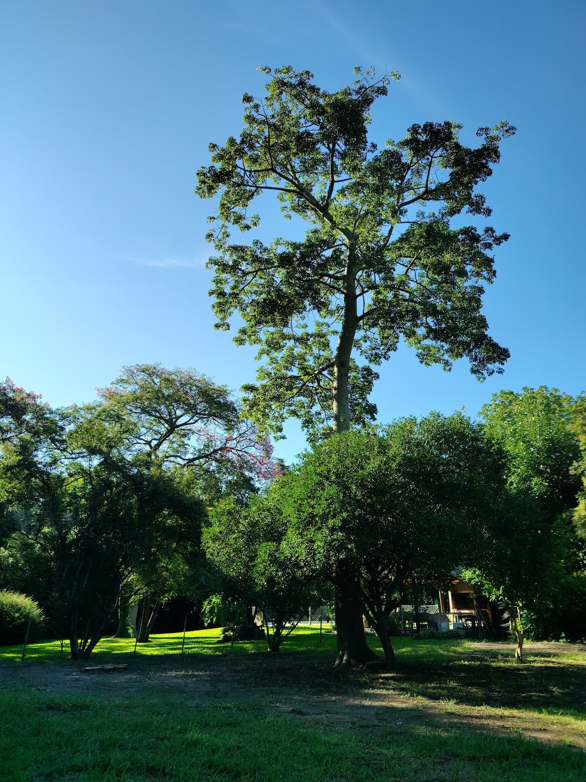 Rancho Aurelio
viví naturaleza