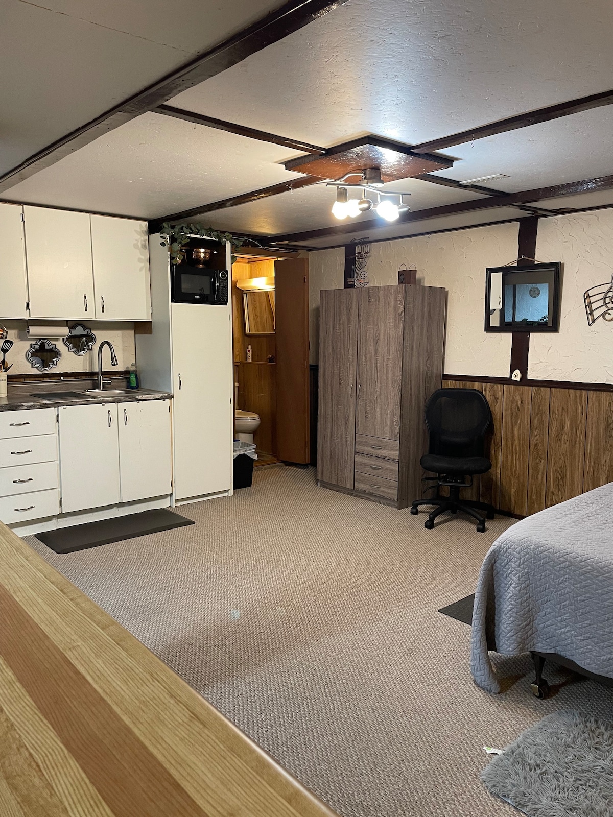 Sarnia Basement Studio Apartment