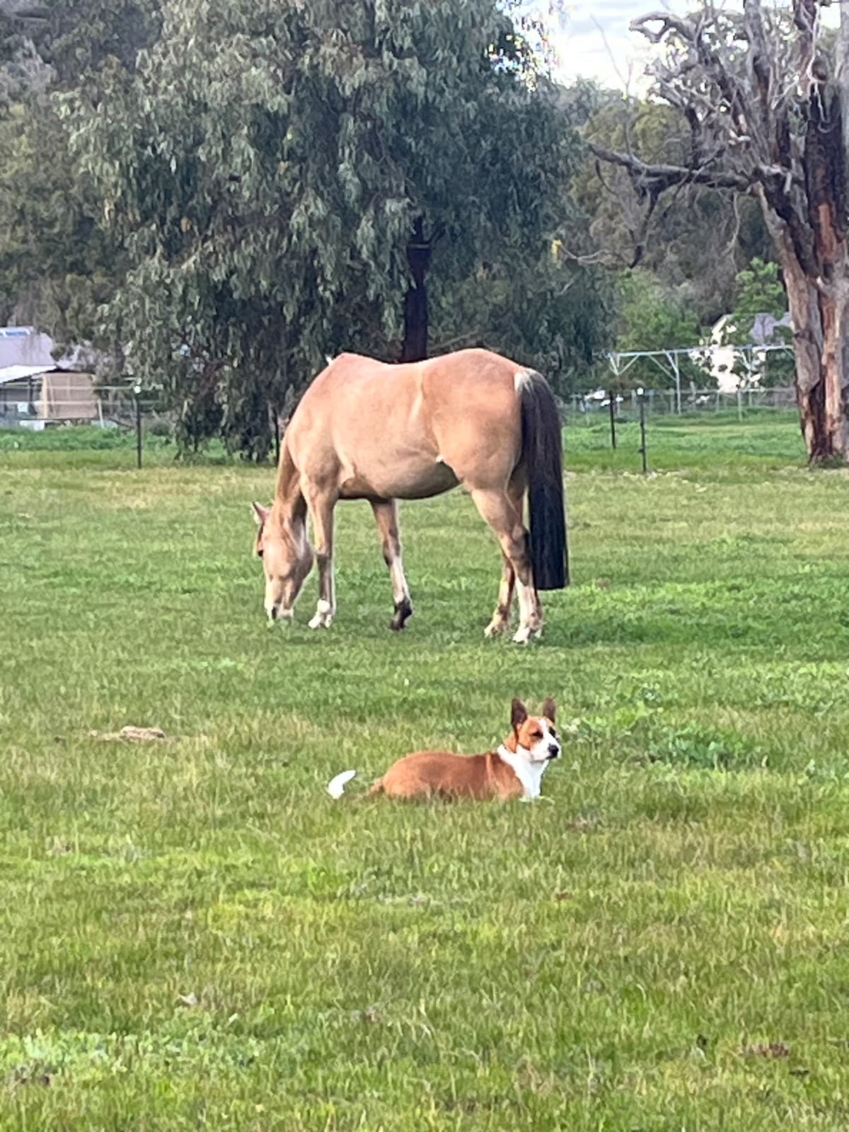 Horsey Farm Stay!