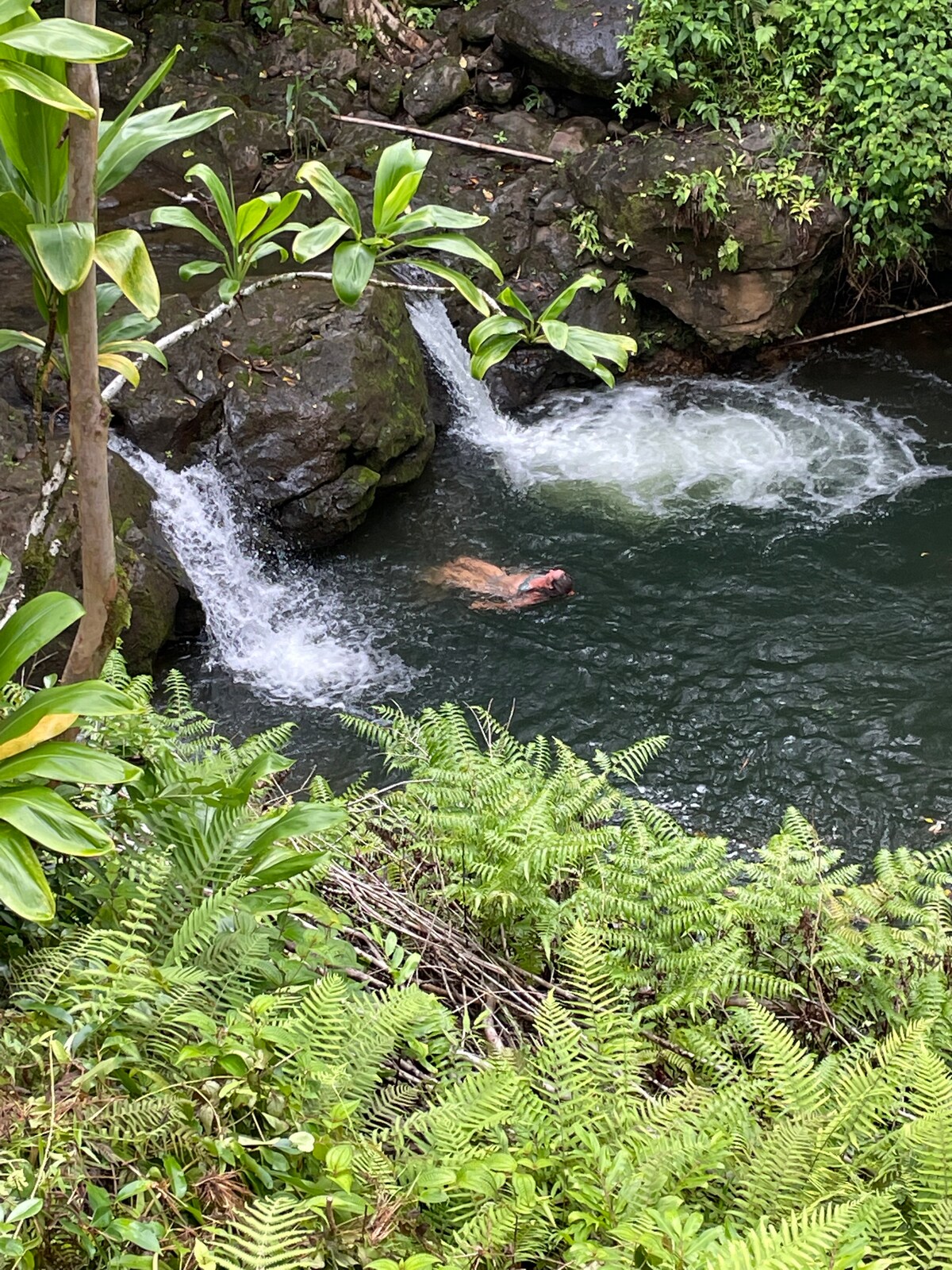 Magical off-grid Tiny Home, North Hilo