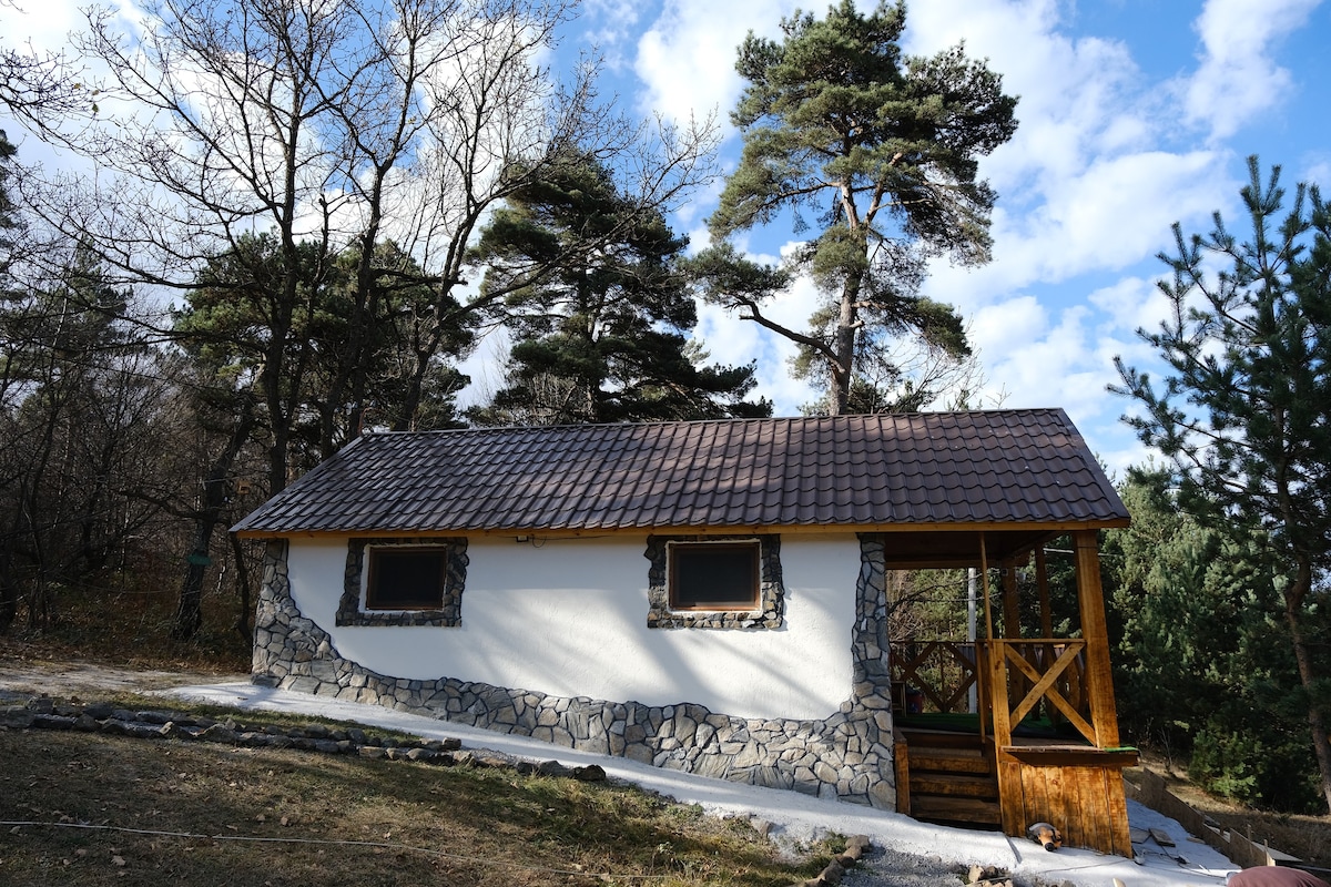 Dendropark forest cabin