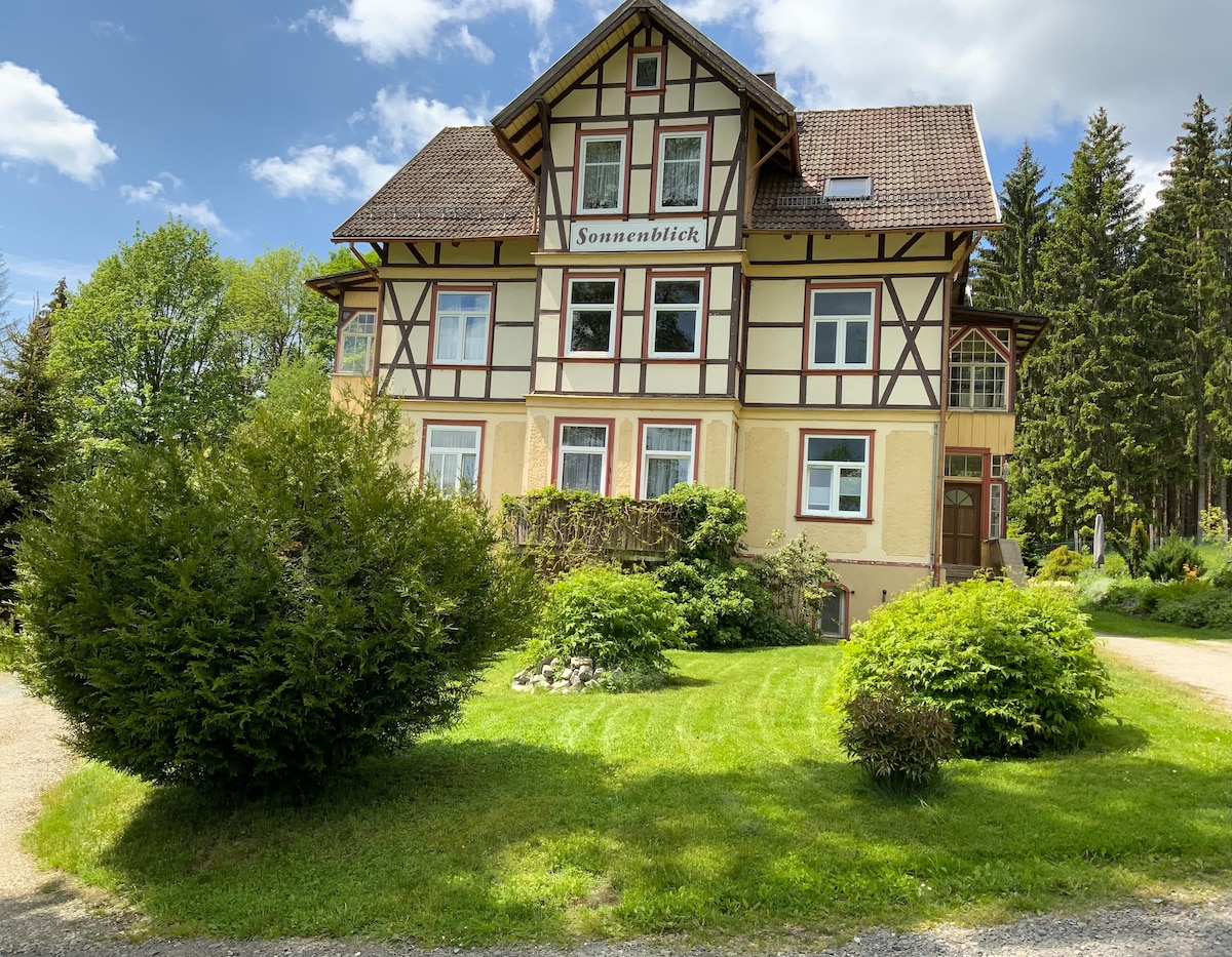 Ferienwohnung im Harz