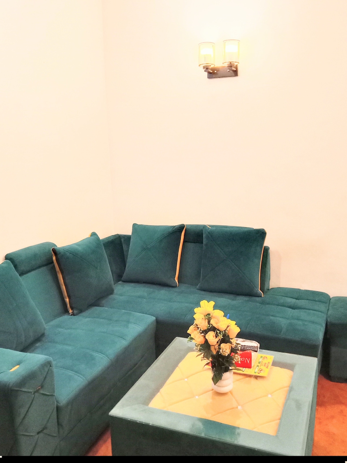 Airbnb Hauz Khas Residency 3