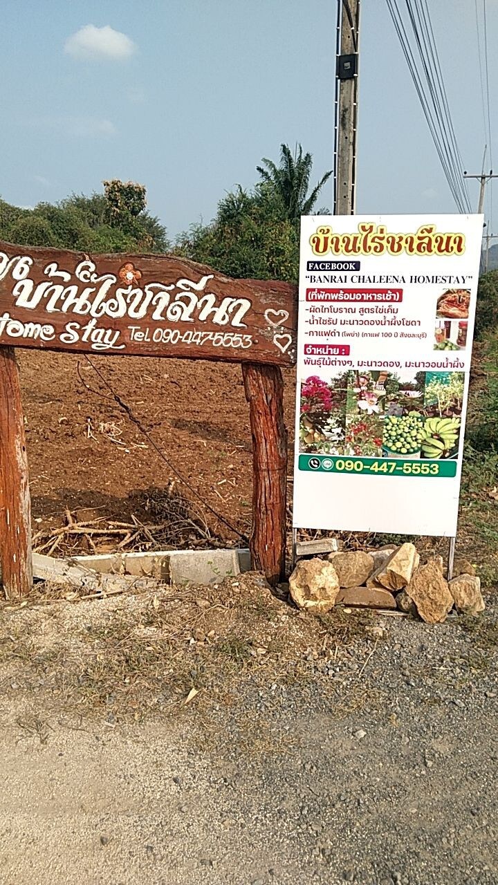 ชาลีนาบ้านไร่