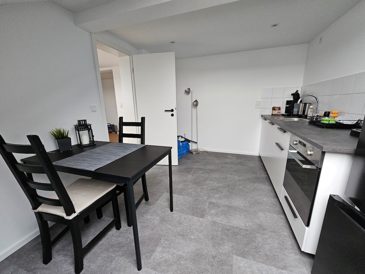 Neu renoviertes Apartment. (1)