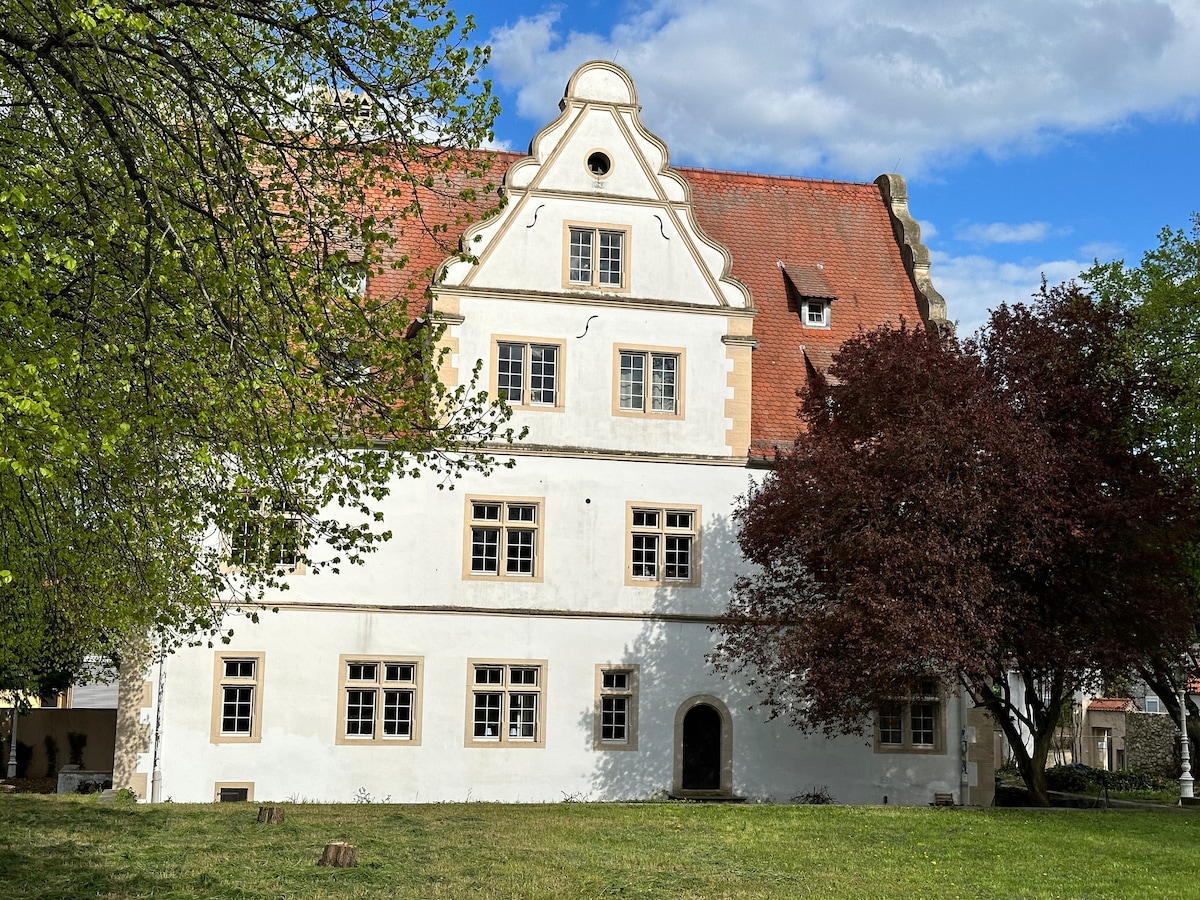 莱茵希森文艺复兴时期的城堡