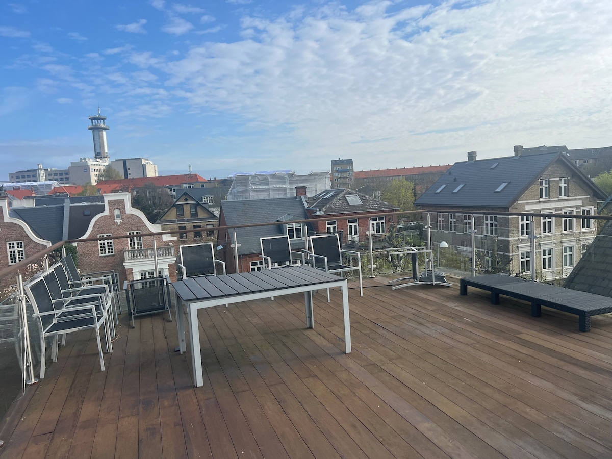 哥本哈根带屋顶露台的漂亮大公寓
