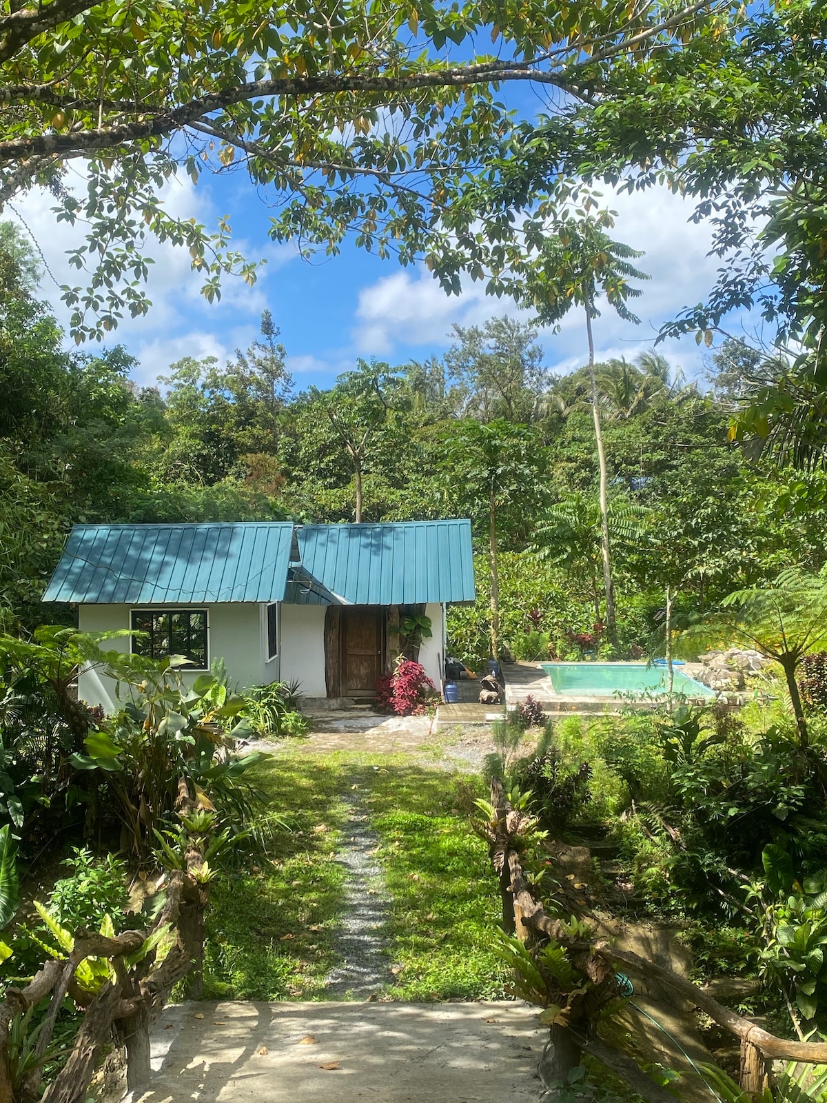 Cottage in the forest with pool