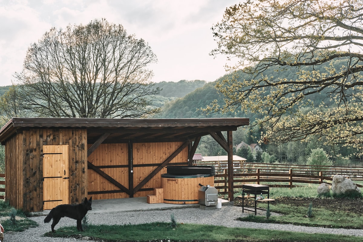 Transylvania Forest Haven- cozy cabin -