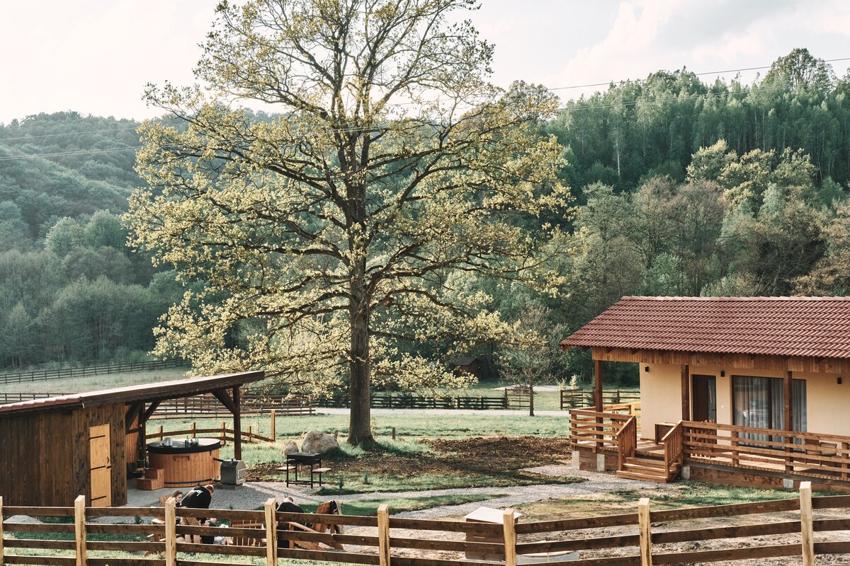 Transylvania Forest Haven- cozy cabin -