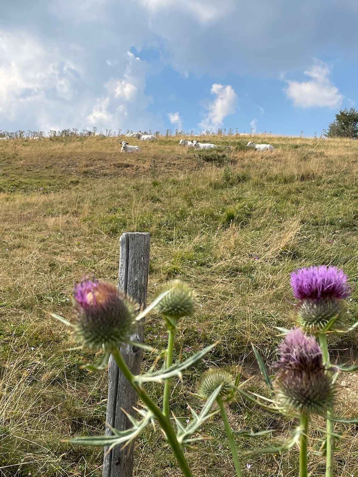 Accogliente casa in pietra