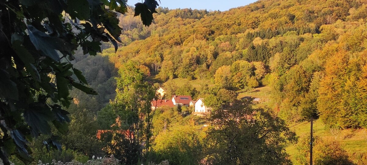 chambre d'hôtes pleine nature 2 personnes