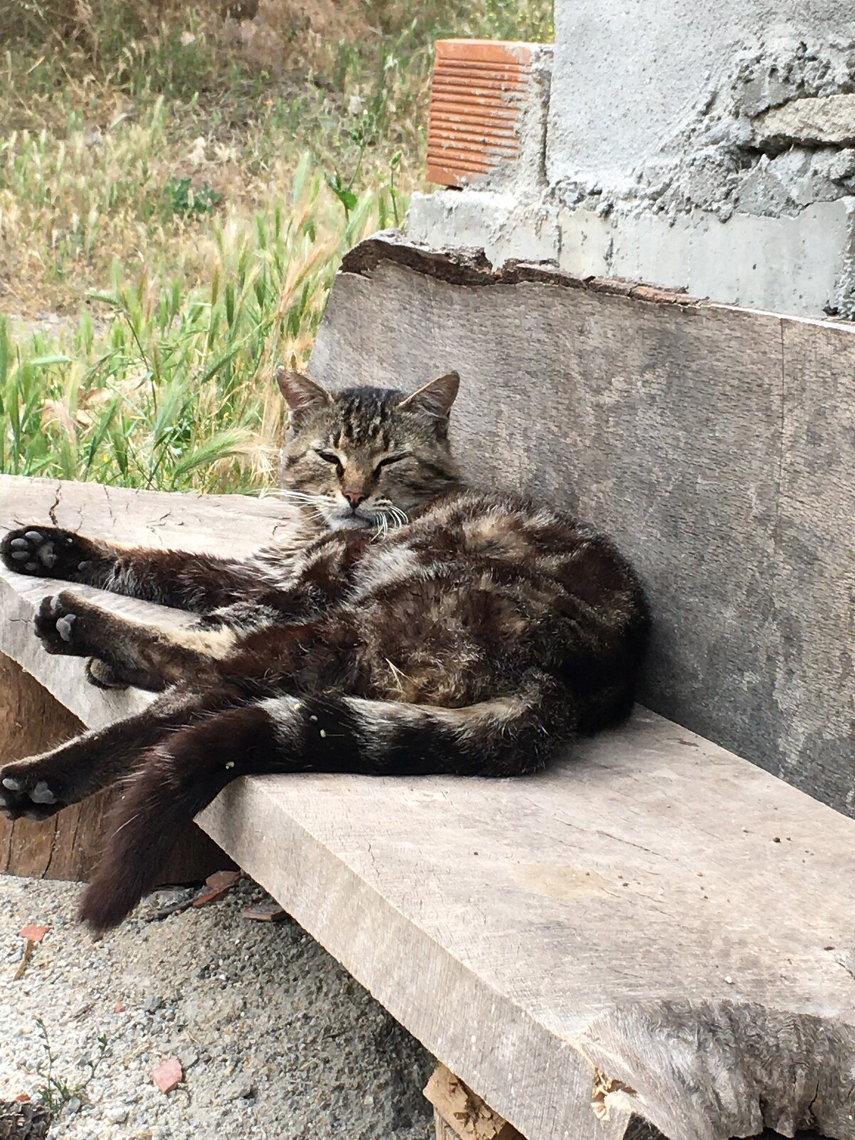 Outdoor - Çadırda konaklayın