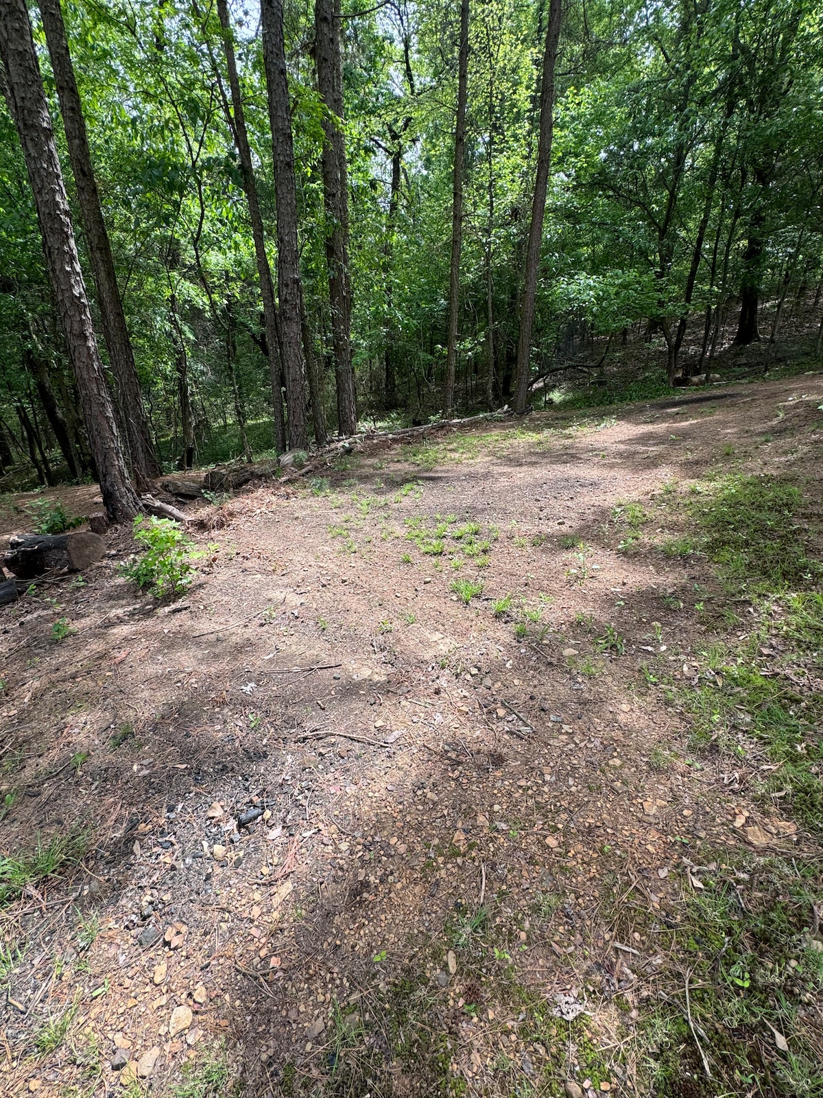 Tent Spot “Tree Line”