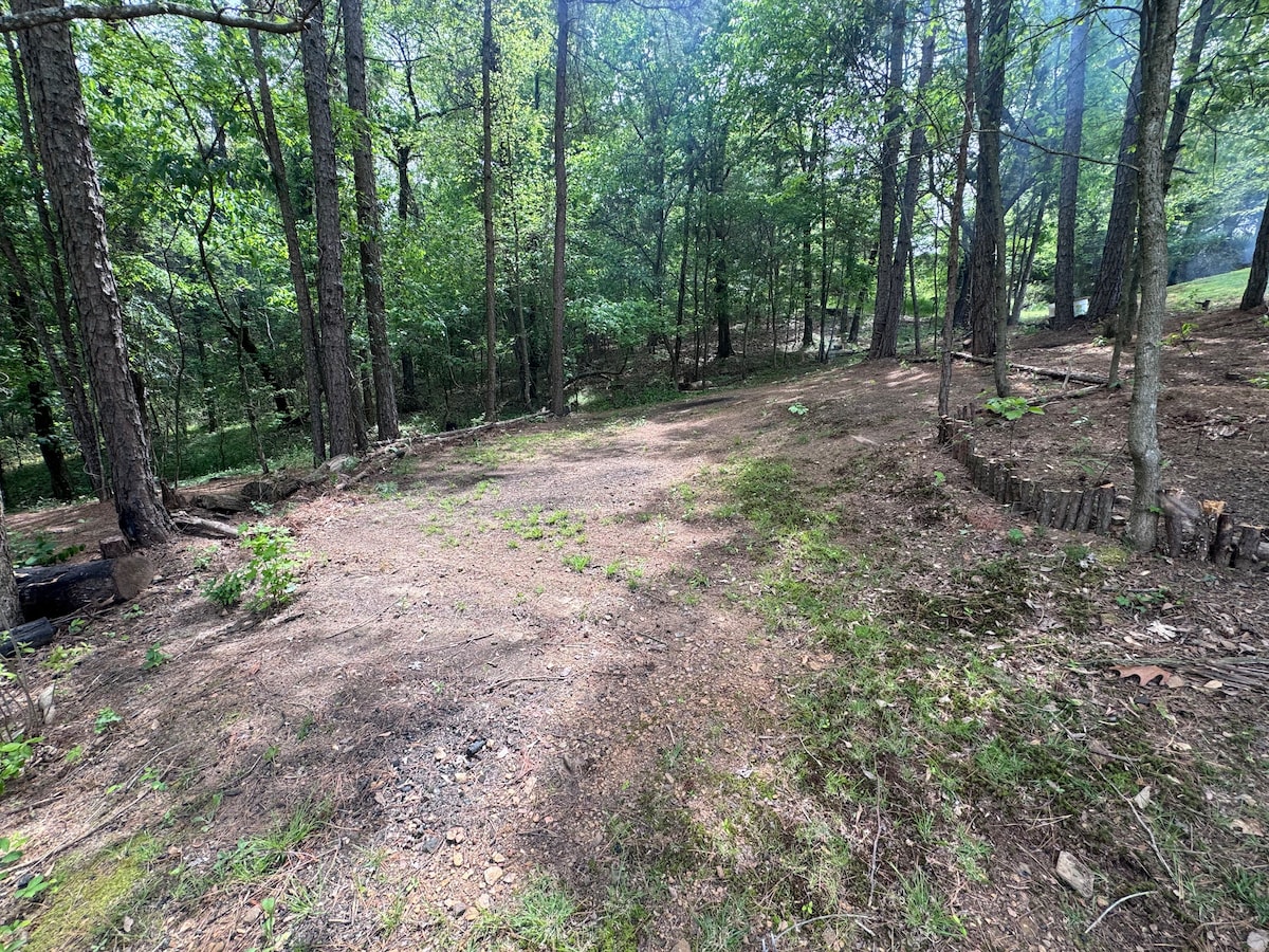 Tent Spot “Tree Line”