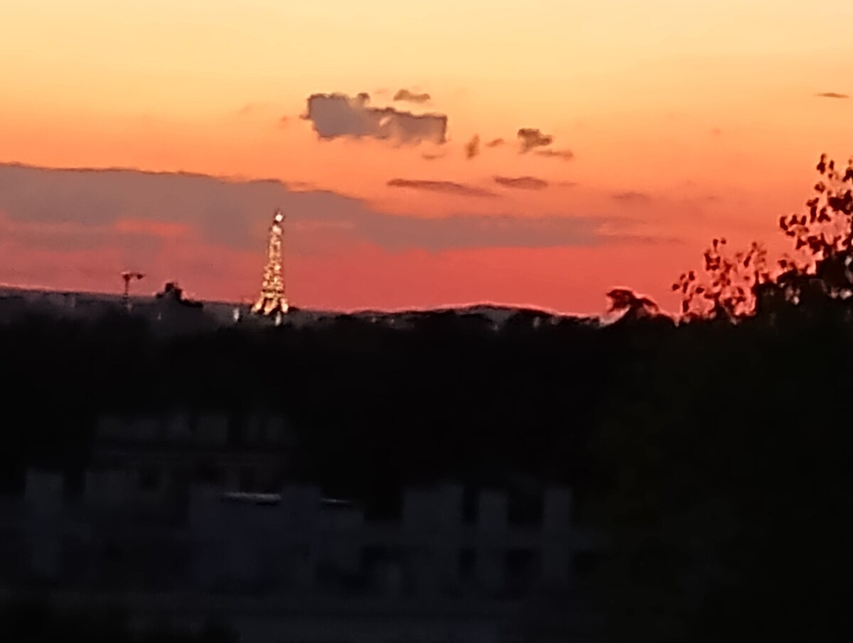 vue sur Paris à 160°