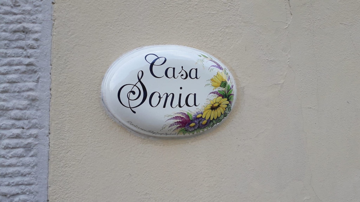 Casa Sonia ，带独立卫生间的房间