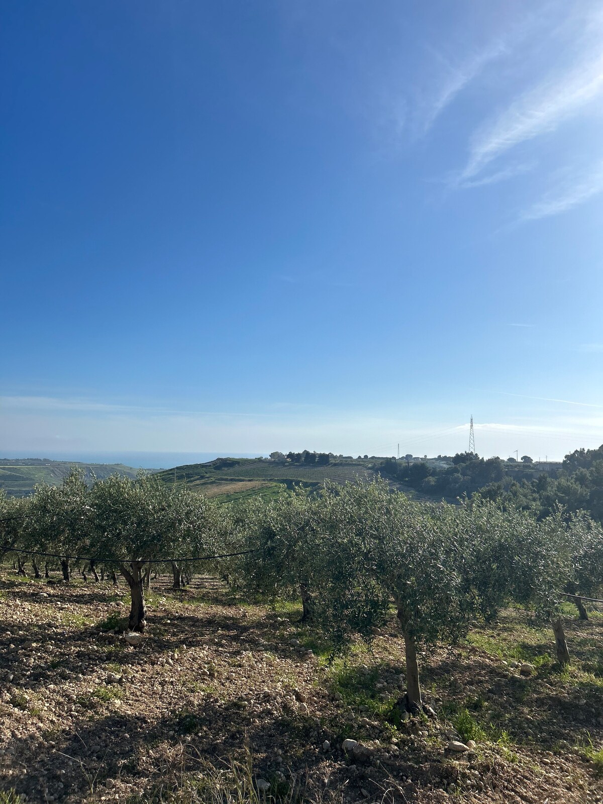 Dein Aufenthalt in Sizilien